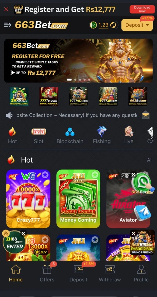 663 Bet Game Interface Screenshot