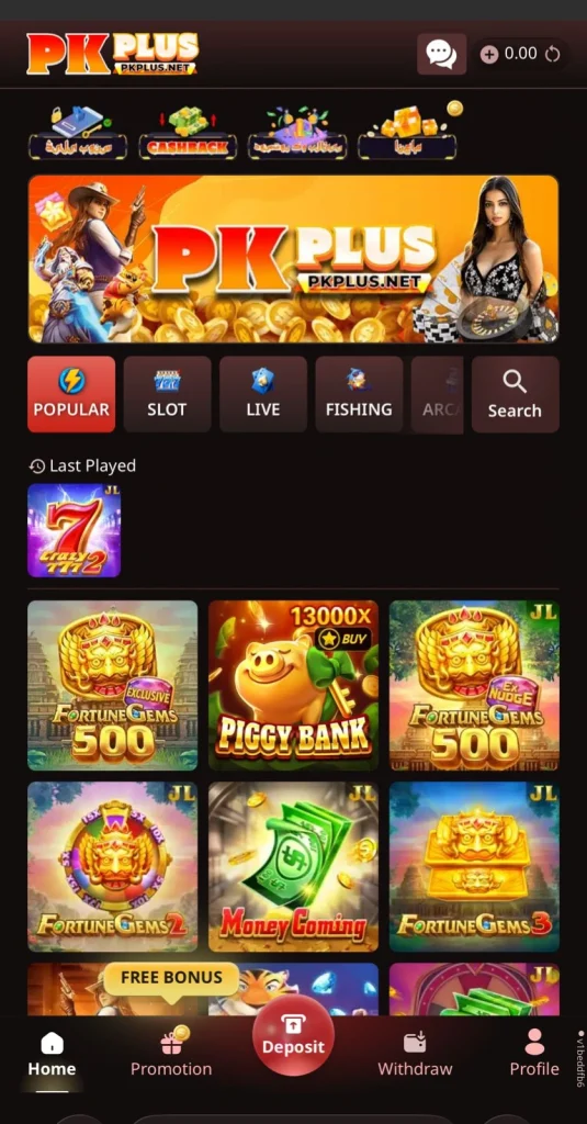 PK Plus Game Interface Screenshot