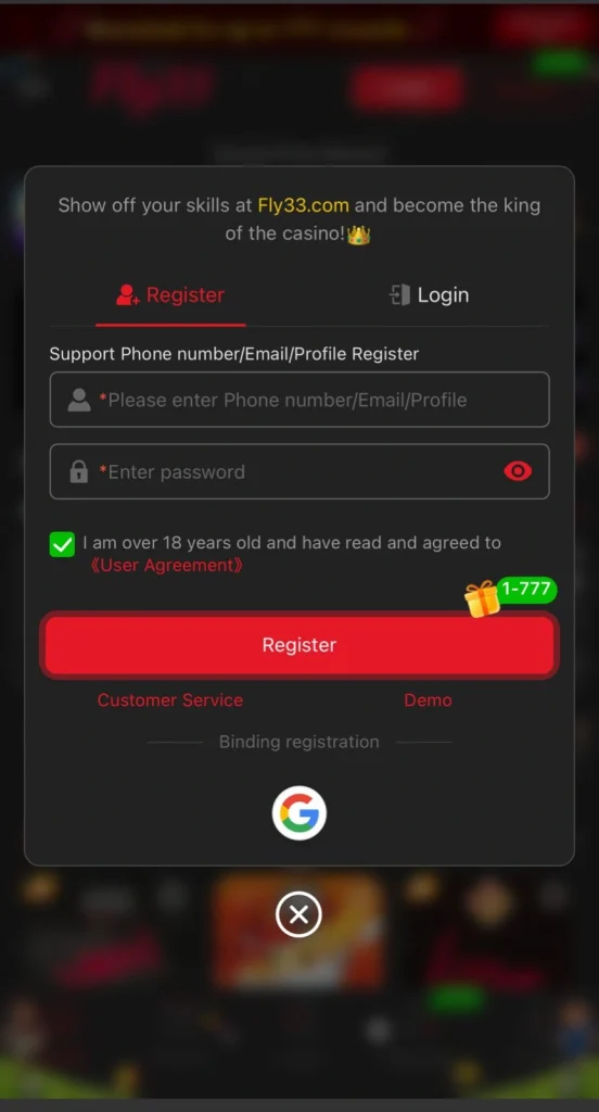 Fly33 Game Register