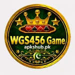 WGS456 Game Logo