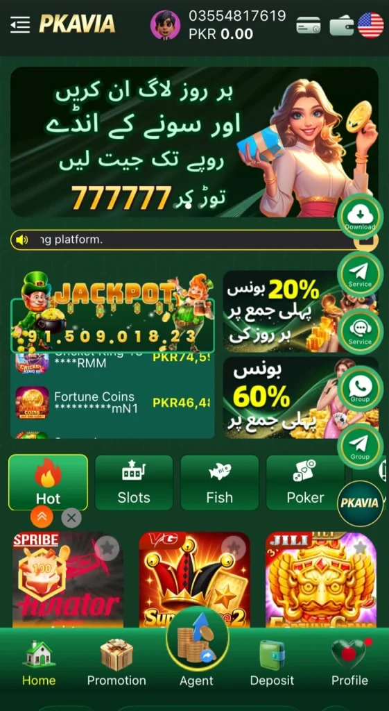 Pkavia Game Interface screenshot